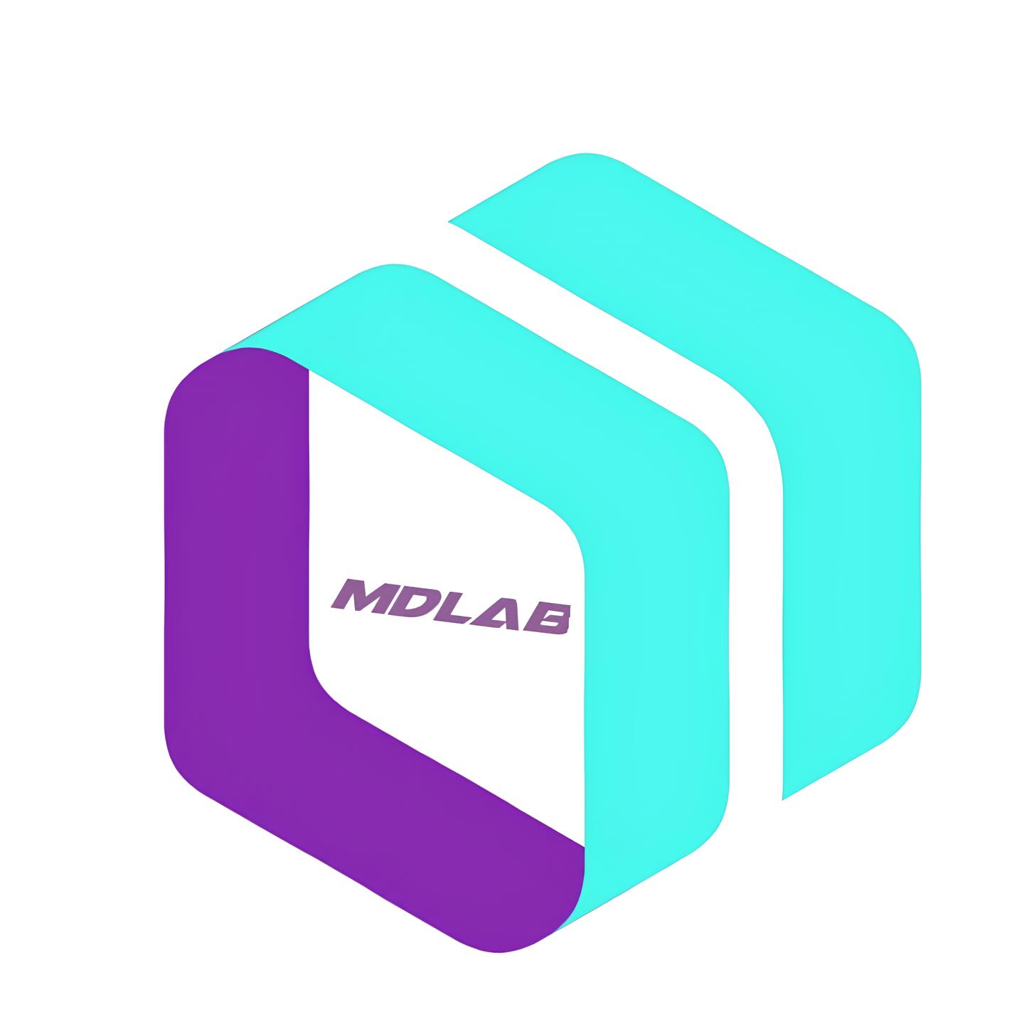 Logótipo MDLAB – Mulaja DataLab